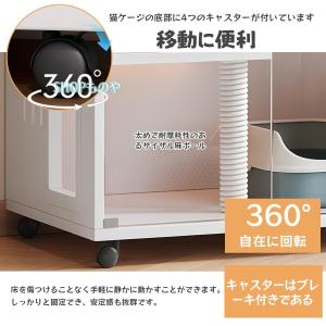 【7 月期間限定!ポイント 5 倍~】猫 ケー...の詳細画像3