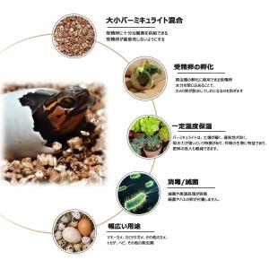 爬虫類・両生類・家禽卵自動孵卵器 爬虫類インキ...の詳細画像3
