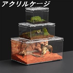 爬虫類ケージ アクリルケージ 爬虫類 飼育ケース 透明 通気ケージ 給餌箱 飼育容器アクリル 飼育ケース 昆虫飼育ケース 爬虫類用飼育ケージ トカゲ/クモ/蛇/蛙/