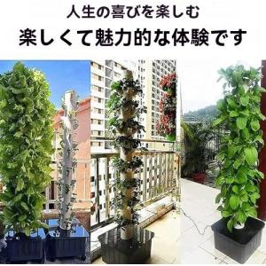 垂直水耕栽培タワー 45 ポッド LED 時限...の詳細画像1