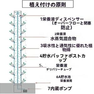 垂直水耕栽培タワー 45 ポッド LED 時限...の詳細画像3