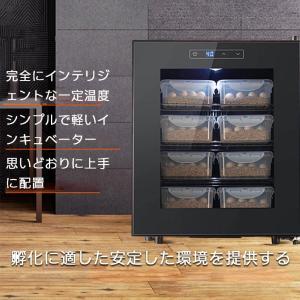 小型爬虫類両生類用インキュベーター 自動温度制...の詳細画像2