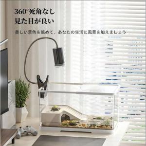 亀の飼育ケース 亀 水槽 大きい カメ用水槽 ...の詳細画像1