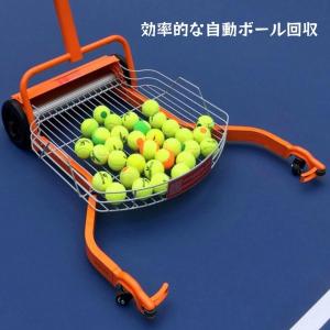 テニスボールピッカー、自動ボールピッカー、手押...の詳細画像2