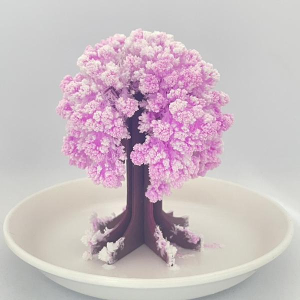 【お家でお花見  紙桜 1セット 】 桜 知育 プチギフト 入学 卒業 お見舞い 結晶で咲く 不思議...