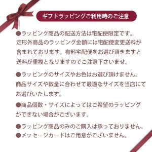 並行輸入品 マック MAC ラスターガラスリッ...の詳細画像4