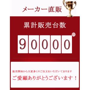 【年末特大セール!2490】ledシーリングラ...の詳細画像1