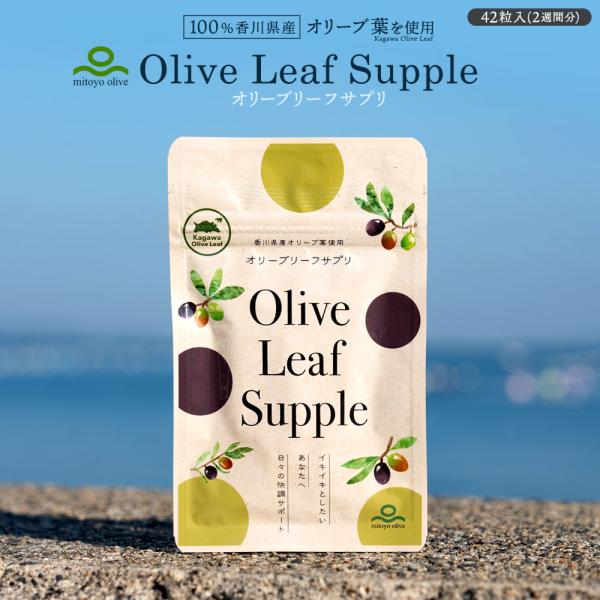 サプリメント 香川県産オリーブ葉使用　オリーブリーフサプリ [ 錠剤 ポリフェノール オレウロペイン...