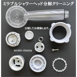 サイエンス ミラブル シャワーヘッド 分解クリーニング シャワーヘッド掃除 シャワーヘッドクリーニング 洗浄 クレンジング 目詰まり