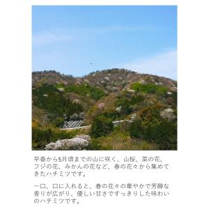 はちみつ 国産 蜂蜜 ハチミツ 純粋 非加熱 ...の詳細画像2