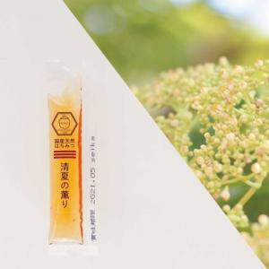 10袋まとめ売り はちみつ 国産 蜂蜜 ハチミ...の詳細画像4