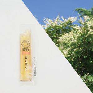 10袋まとめ売り はちみつ 国産 蜂蜜 ハチミ...の詳細画像5