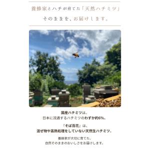 はちみつ 国産 蜂蜜 ハチミツ 純粋 非加熱 ...の詳細画像4