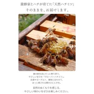 はちみつ 国産 蜂蜜 ハチミツ 純粋 非加熱 ...の詳細画像3
