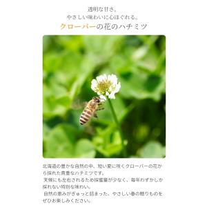 はちみつ 国産 蜂蜜 ハチミツ 純粋 非加熱 ...の詳細画像4