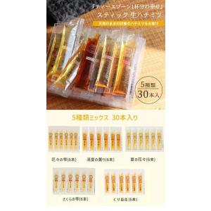 選べる 5種ミックス 30本入 スティックタイ...の詳細画像1