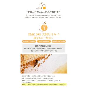 選べる 5種ミックス 30本入 スティックタイ...の詳細画像4