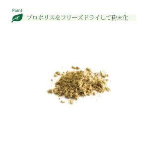 「10個セット」 伝承 プロポリス (約1ヵ月...の詳細画像4