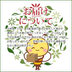 プロハーブ EM 化粧水 (120ml) おま...の詳細画像4