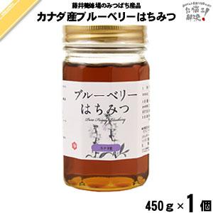 カナダ産ブルーベリーはちみつ 瓶入 （450g） 藤井養蜂場 「5250円以上で送料無料」｜mitsubachi-road