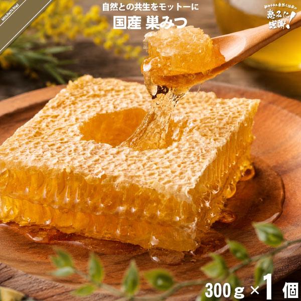 国産 巣みつ （300g） 巣蜜 蜂蜜 はちみつ 濃厚 美味しい 富士見養蜂園