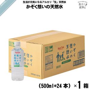 湧命水・レーザー LAiSER （500ml×2本入り） : コシラック 販売