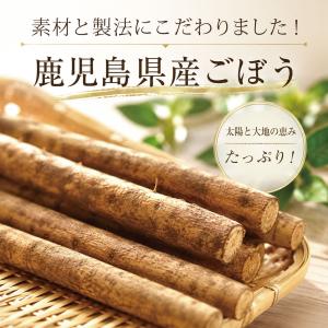 かごしまの粉末ごぼう茶(50g) パウダー 野...の詳細画像3