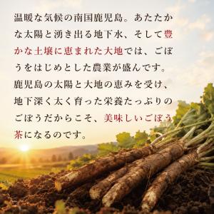 かごしまの粉末ごぼう茶(50g) パウダー 野...の詳細画像4