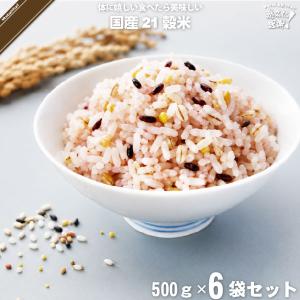 「6個セット」 国産 21穀米 （500g）もち麦 もちきび もちあわ