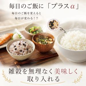 もち麦 たっぷり 十六雑穀 (25g×6包) ...の詳細画像2