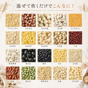 もち麦 たっぷり 十六雑穀 (25g×6包) ...の詳細画像4