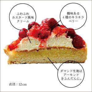 ホワイトデー フルーツタルト ケーキ ギフト ...の詳細画像1