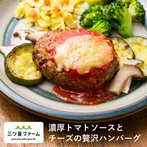 冷凍食品 お弁当 濃厚トマトソースとチーズの贅沢ハンバーグ レンジ調理 野菜 冷凍弁当 宅配 おかず...