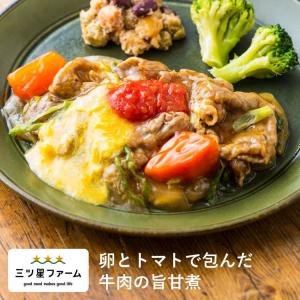 冷凍食品 お弁当 卵とトマトで包んだ牛肉の旨甘煮 レンジ調理 野菜 冷凍弁当 宅配 おかず 時短調理 惣菜 健康 カロリー 減塩 栄養バランス 牛肉 トマト