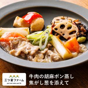 冷凍食品 お弁当 牛肉の胡麻ポン蒸し焦がし葱を添えて レンジ調理 野菜 冷凍弁当 宅配 おかず 時短調理 惣菜 健康 カロリー 減塩 栄養バランス