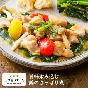 旨味染み込む 鶏のさっぱり煮冷凍食品 冷凍弁当 お弁当 おかず カロリー 健康 簡単 時短調理 減塩 栄養バランス 野菜不足 和食 250kcal以下
