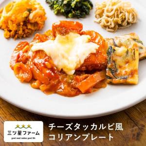 冷凍食品 お弁当 チーズタッカルビ風 コリアンプレート レンジ調理 野菜 冷凍弁当 宅配 おかず 時短調理 惣菜 健康 カロリー 減塩 栄養バランス 鶏肉 韓国料理