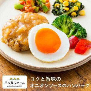 冷凍食品 お弁当 コクと旨味のオニオンソースのハンバーグ レンジ調理 野菜 冷凍弁当 宅配 おかず 時短調理 惣菜 健康 カロリー 減塩 栄養バランス ハンバーグ