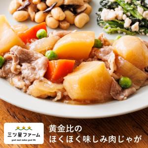 黄金比のほくほく味しみ肉じゃが冷凍食品 冷凍弁当 お弁当 おかず カロリー 健康 簡単 和食