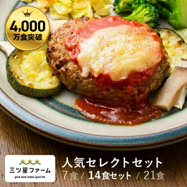 冷凍弁当 お弁当 おかず 人気セレクト 14食セット レンジ調理 魚 野菜 冷凍弁当 宅配時短調理 ...