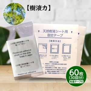 足裏樹液シート ゲルマニウム配合 日本製 ( 30枚入り ) : 爽快