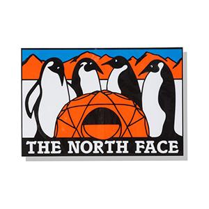 ノースフェイス THE NORTH FACE TNFプリントステッカー NN32348-AT