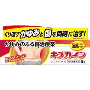 キズカイン　15g 1個 丹平製薬 【第2類医薬品】