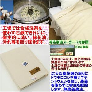 三井毛織 毛布 オーガニック 100% 綿 純...の詳細画像1