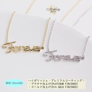 ジミ・ヘンドリックスピックケースペンダント シルバー925