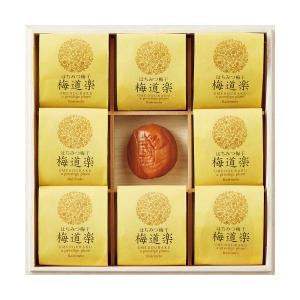 お中元 御中元 三越 ギフト 梅干 うめぼし 和総菜 惣菜 副菜 梅干し Ｂ０３７６１３ 〈梅林堂〉紀州はちみつ梅干「梅道楽」