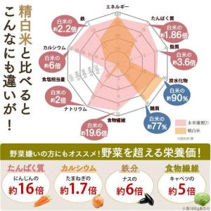 雑穀 雑穀米 国産100% 未来雑穀21 + ...の詳細画像3