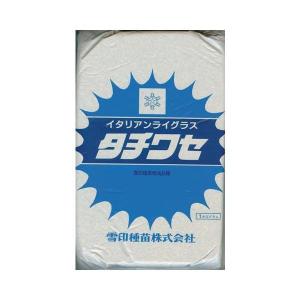 イタリアンライグラス種 【 タチワセ 】 1kg...の商品画像