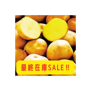 ※最終在庫20％OFFジャガイモ種芋  サイズ混合 1kg