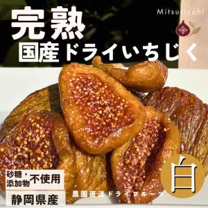 お試し 銀賞受賞 国産 白ドライいちじく 100g 完熟しっとり 100g無添加 砂糖不使...